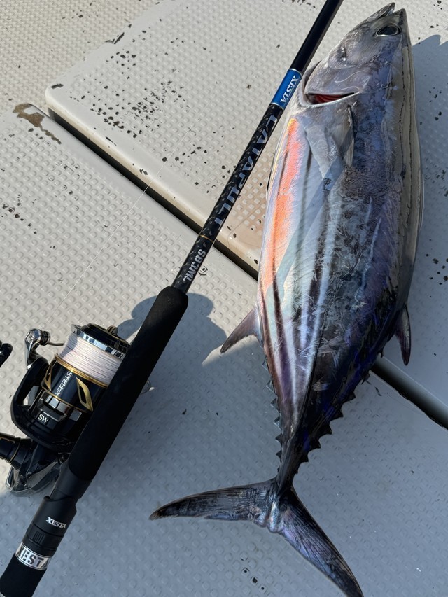 ひめまろ釣り日記】カツオに翻弄されて．．．2026年，夏 - CLAB