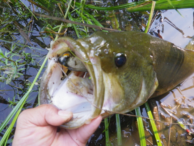 FISHERMAN ロング　ジグ　バッグ つり具の上州屋 - あなたのフィッシング＆アウトドアライフをサポート