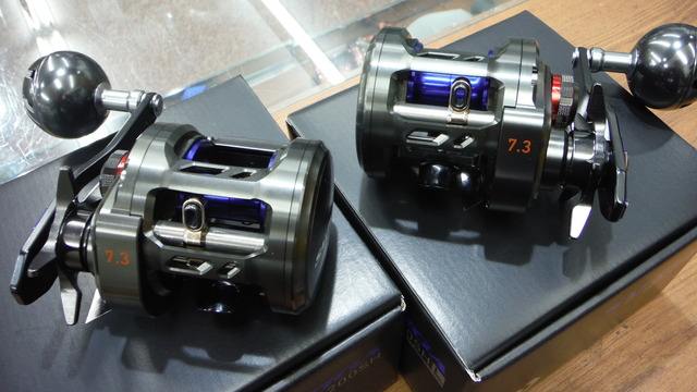 17ソルティガ BJ200SHL,3. ジギング・タイラバ,ダイワ｜釣具