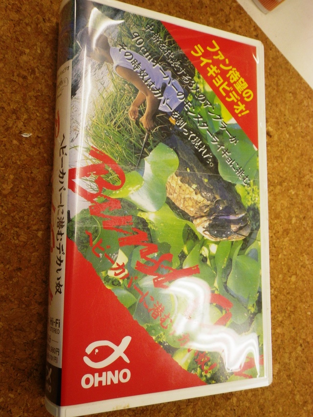 雷魚　DVD 3枚+バスDVD1枚 プロショップ藤岡 雷魚バス釣具通販＞SNAKE HEAD＞DVD・ビデオ
