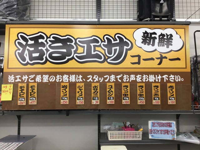 横浜磯子店 釣具のキャスティング