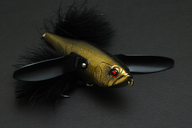 水戸店】RAID JAPAN（レイドジャパン）金森隆志トークライブ開催