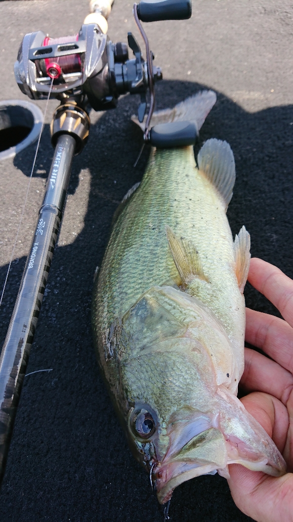 南柏店 釣具のキャスティング