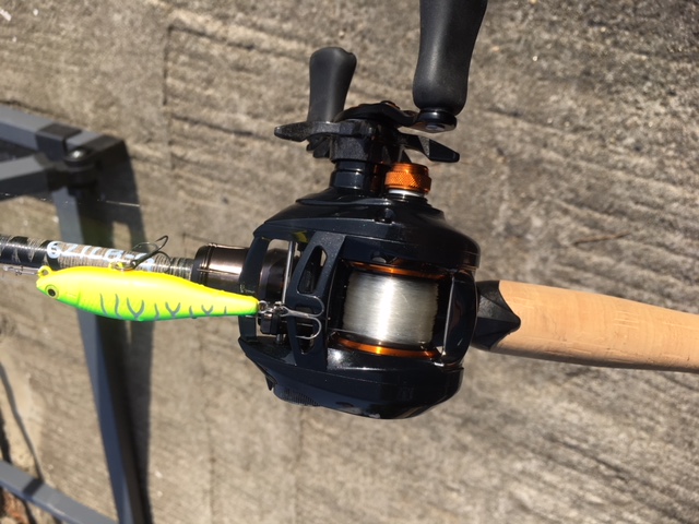 心に強く訴えるアルファス Ct Sv ベイトフィネス 魚のすべて