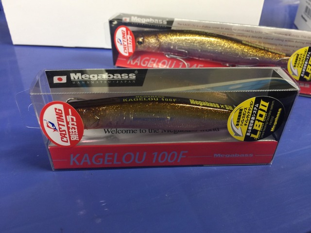 カゲロウ124f キャスティング湘南平塚店オリカラ オプティカル