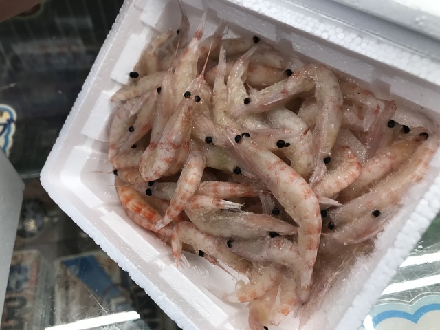 横浜磯子店 釣具のキャスティング