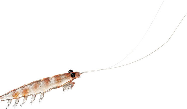 3 14放送 The Fishing ザ フィッシング で使用している釣り具 タックル はこれ 新着情報 釣具のキャスティング