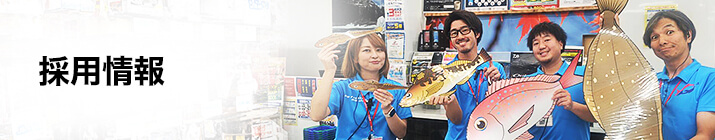 採用情報