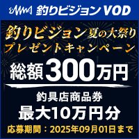 釣りビジョン