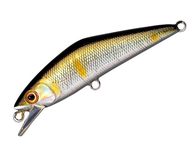 【スミス】D-コンタクト